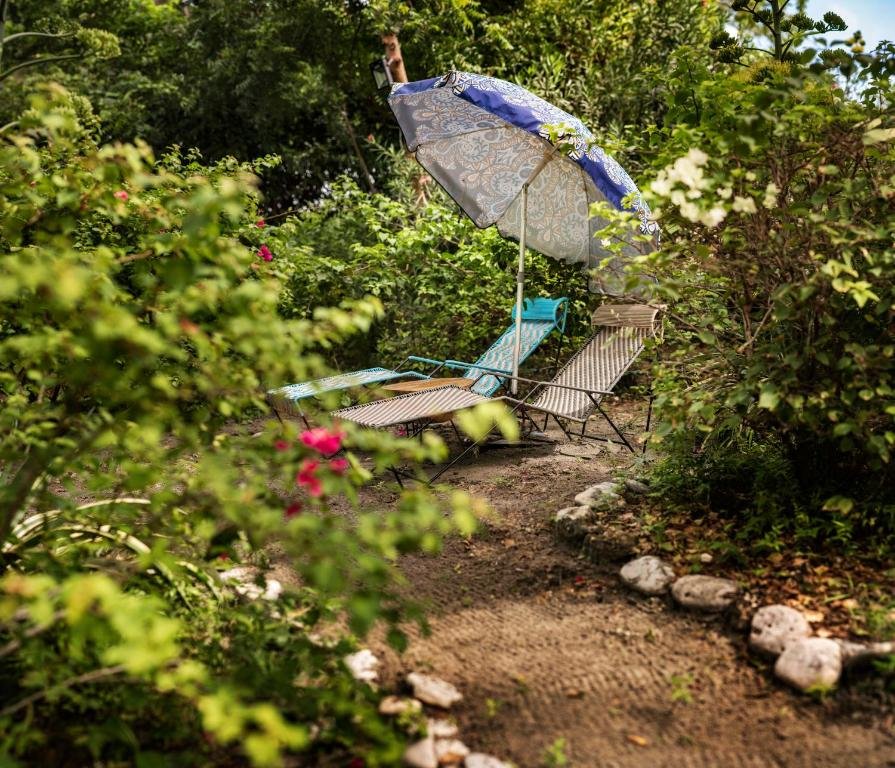 Blue Apple Beach – Isla Tierra Bomba 19