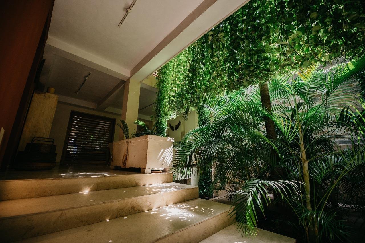 Casa Chirimoya (The Coral House)3