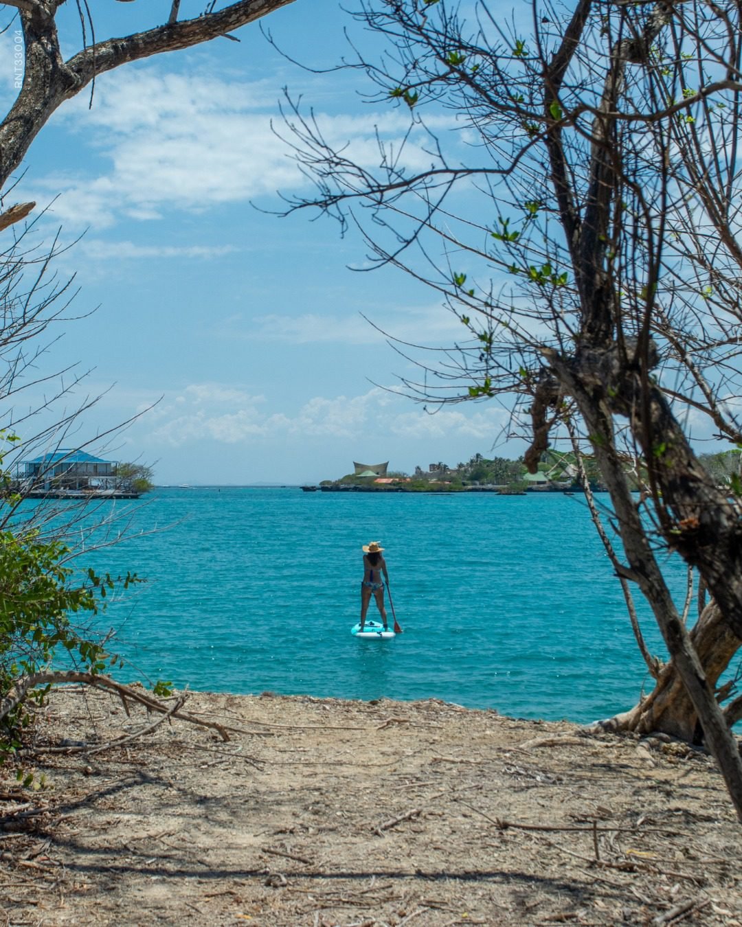 Coralina Island Beach Club 11