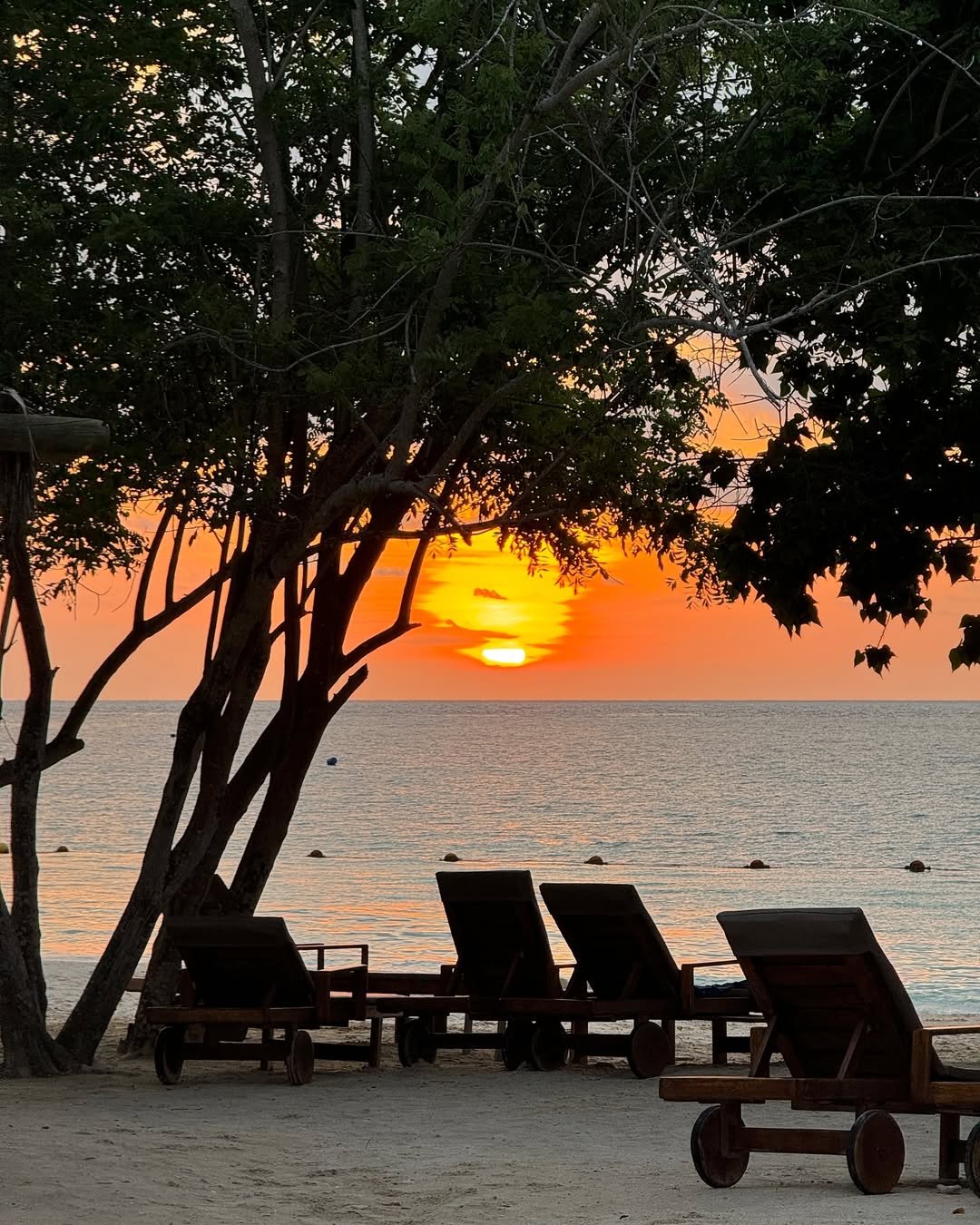 Sofitel Barú Calablanca 10