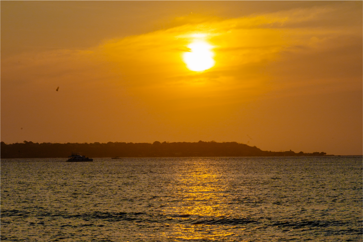 Flamante Catamaran Sunset Tour 6