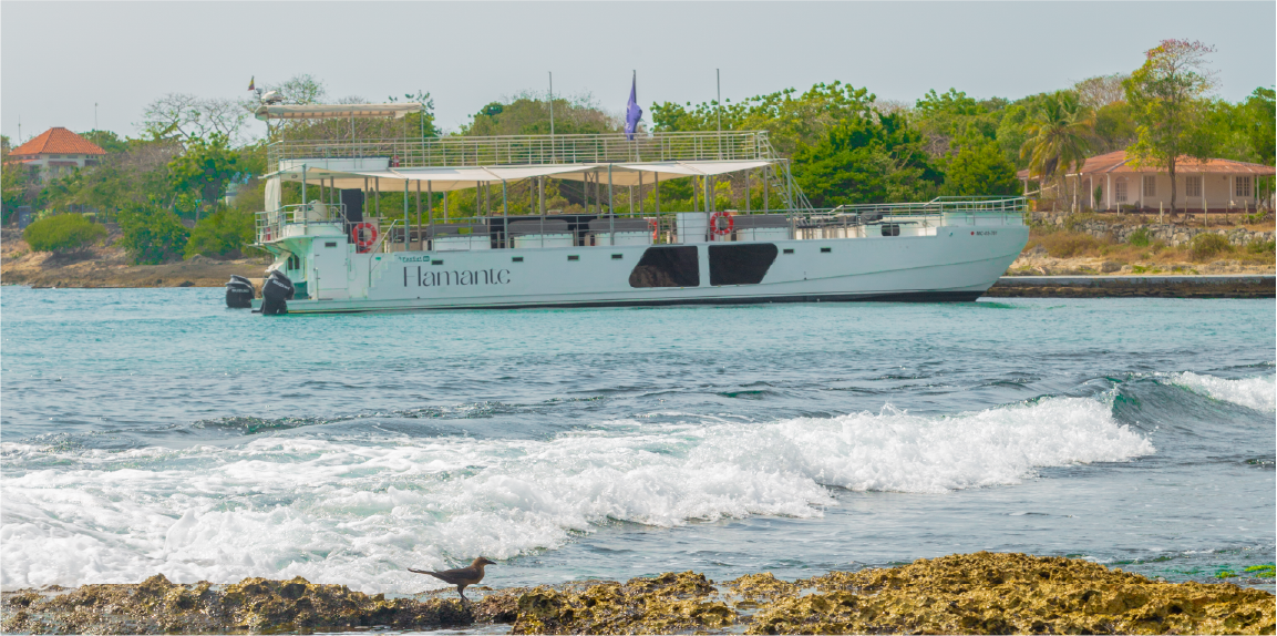 Historic Tour on the Flamante Catamaran 10