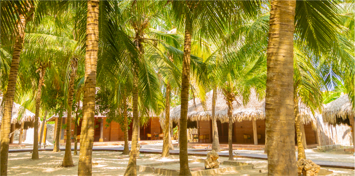 Historic Tour on the Flamante Catamaran 9