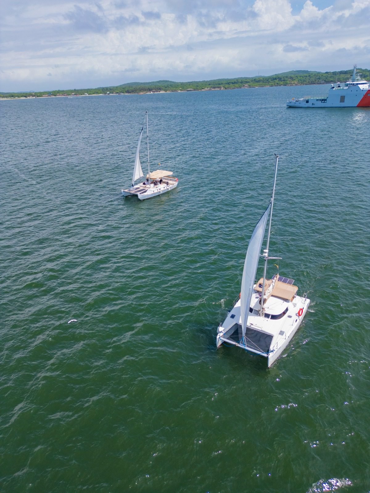 Catamarán Armonía 36ft (Solmar) 1