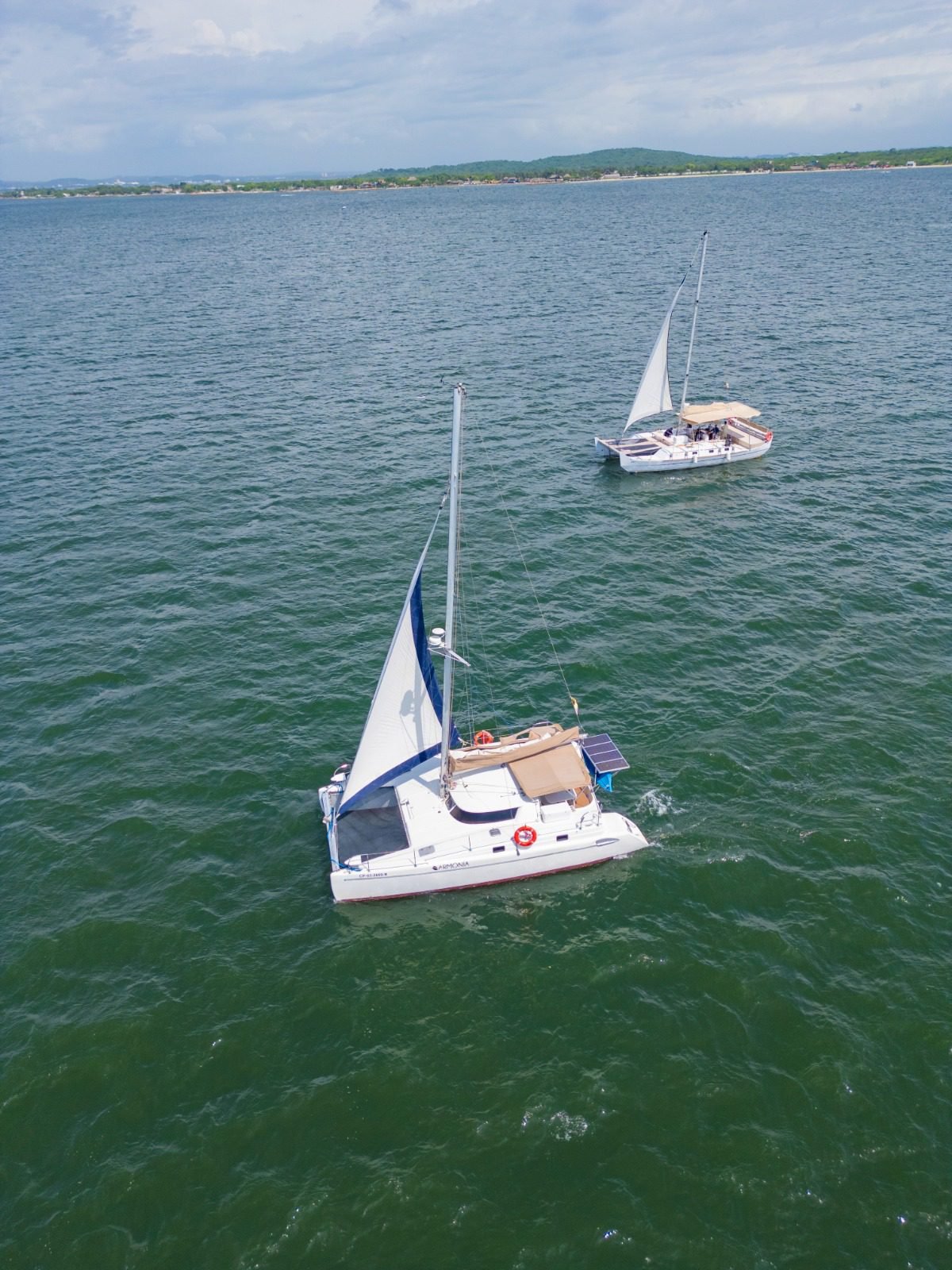 Catamarán Armonía 36ft (Solmar) 2