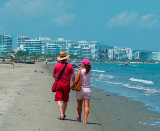 Mangrove Forest - Boquilla 13