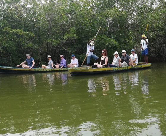 Mangrove Forest - Boquilla 14