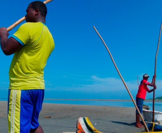 Mangrove Forest - Boquilla 15