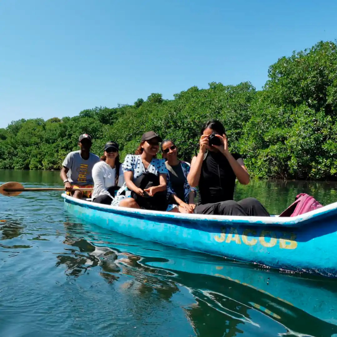 Mangrove Forest - Boquilla 3