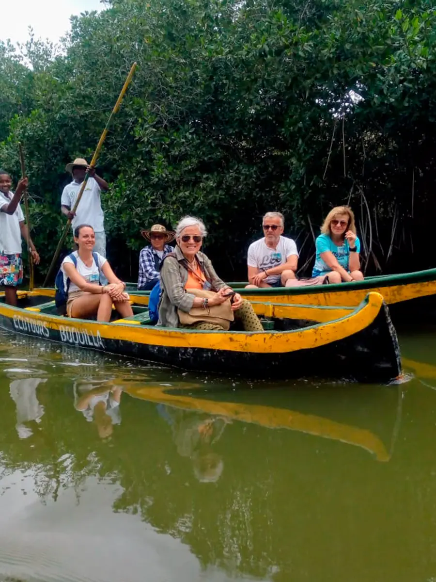 Mangrove Forest - Boquilla 6