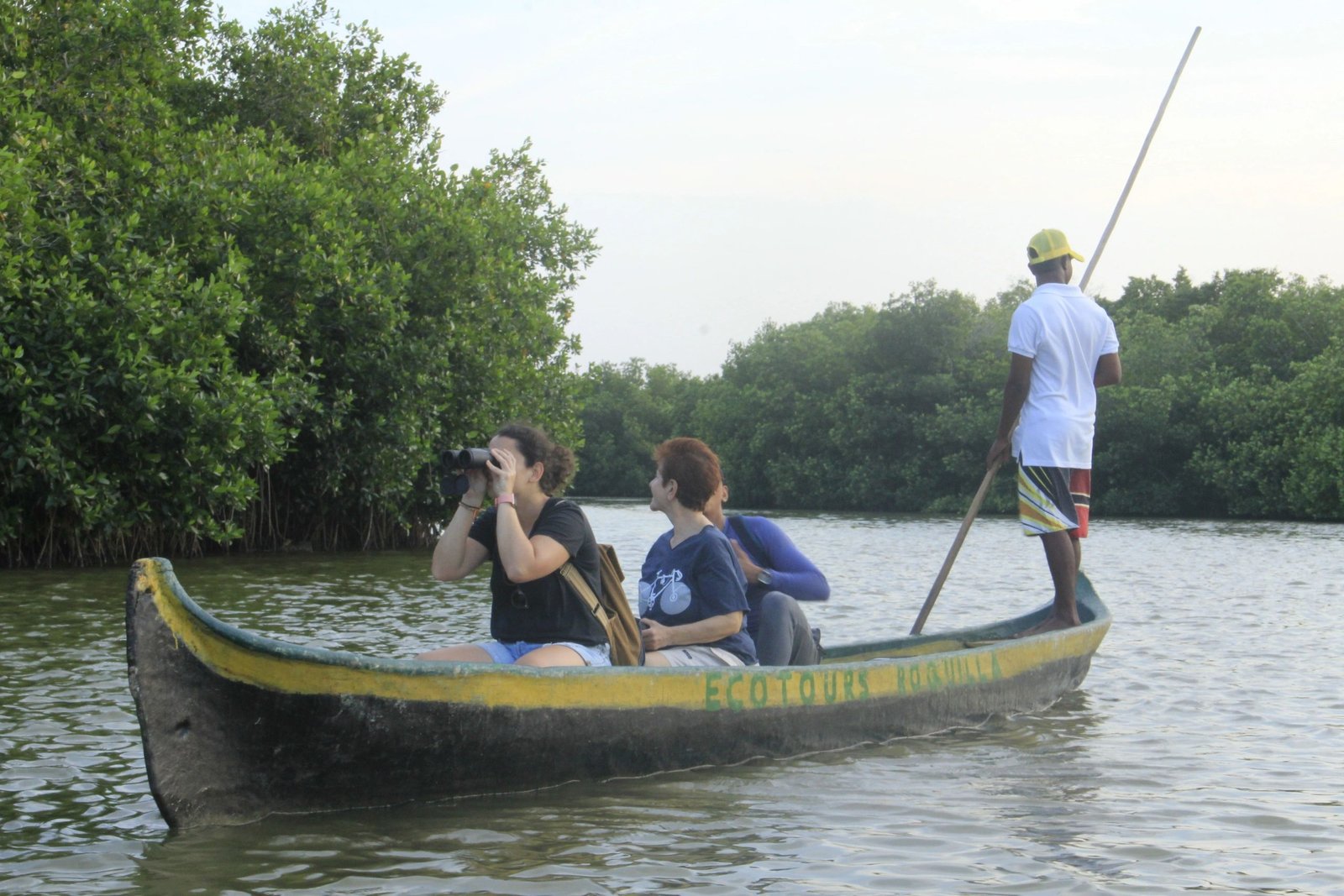Mangrove Forest - Boquilla 7
