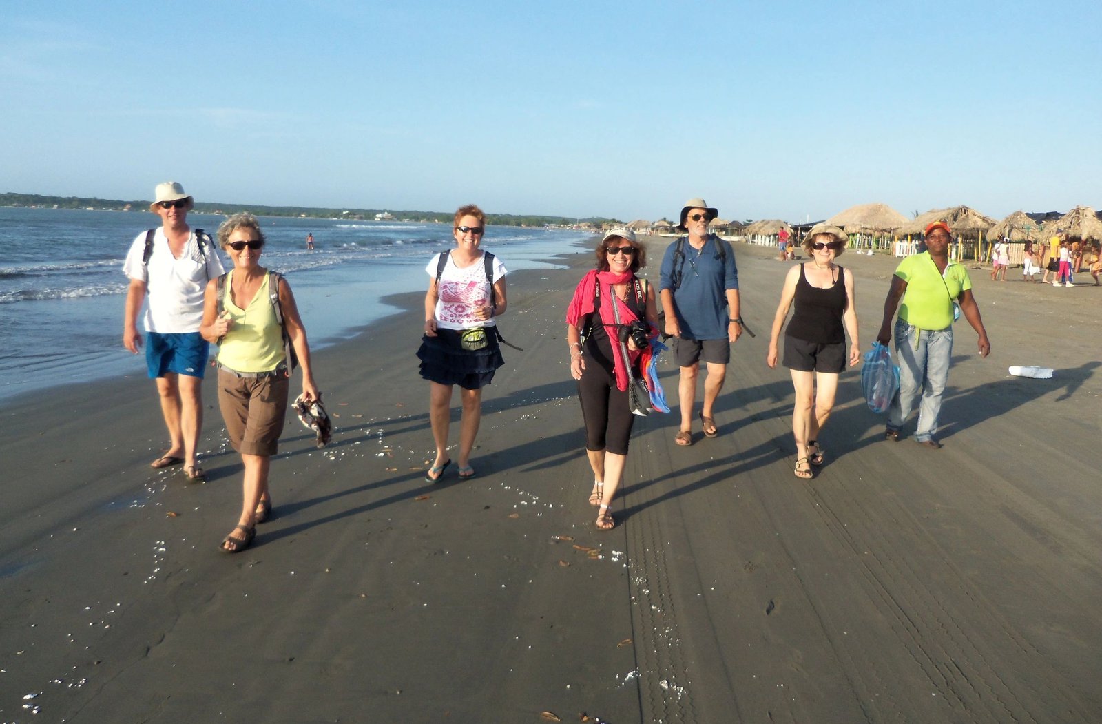 Mangrove Forest - Boquilla 8
