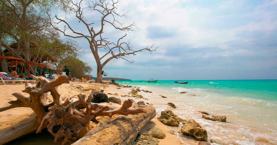 Tour Playa Tranquila - Barú 1