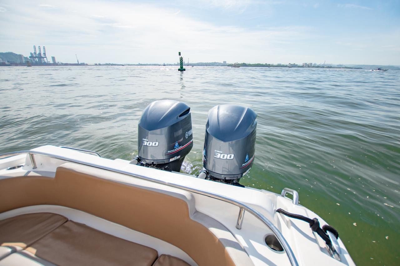 Bote Virginia 42ft (Skyline) 18(1)