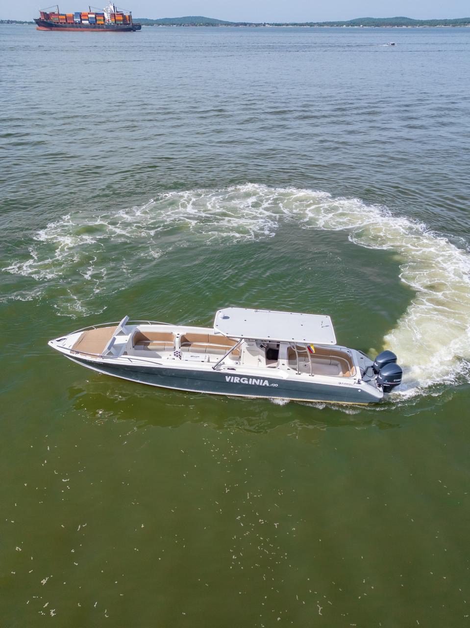 Bote Virginia 42ft (Skyline) 26(1)