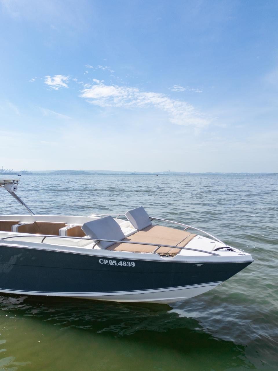 Bote Virginia 42ft (Skyline) 27