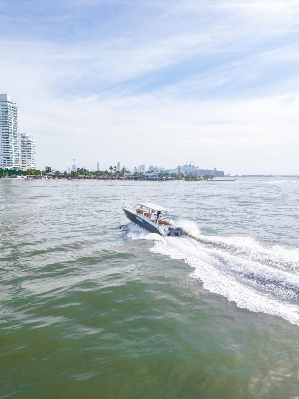 Bote Virginia 42ft (Skyline) 29