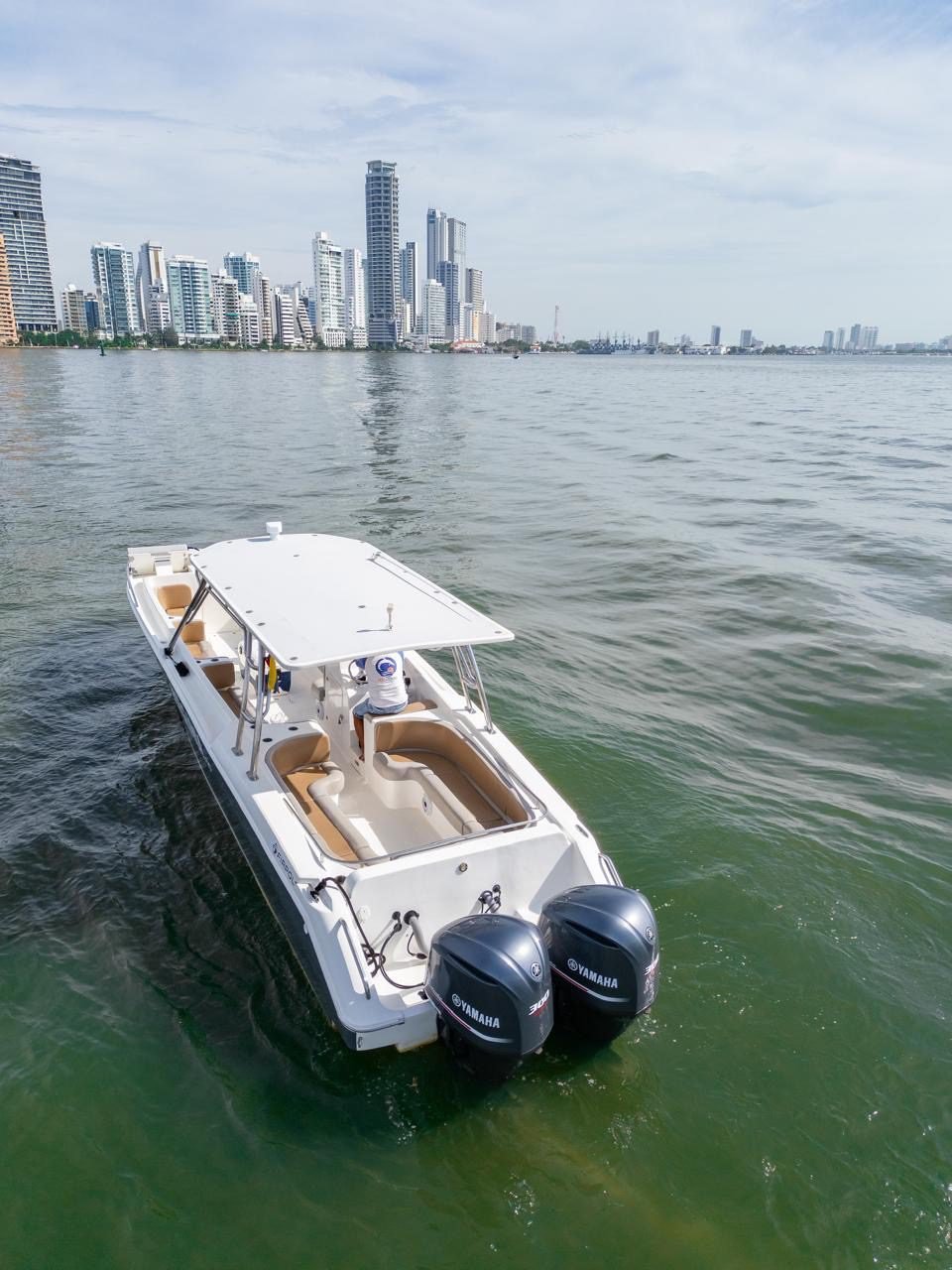 Bote Virginia 42ft (Skyline) 30