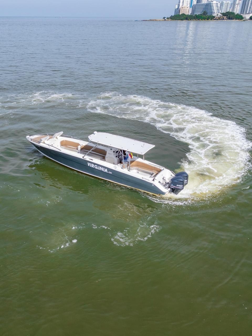 Bote Virginia 42ft (Skyline) 6