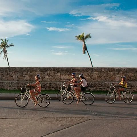 Tour En Bicicleta 11