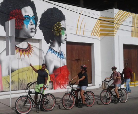 Tour En Bicicleta 4