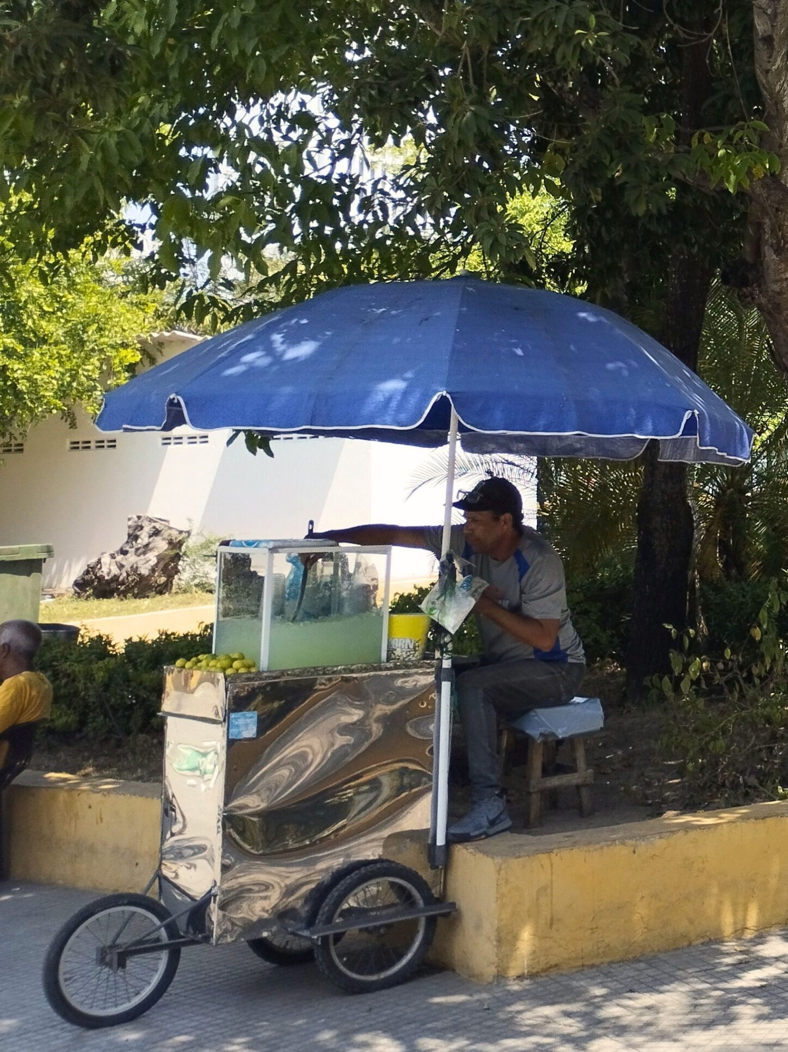 Tour de Comida Callejera Local 13